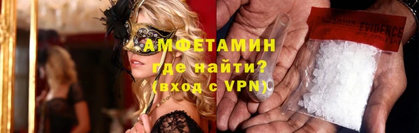 шишки Аркадак